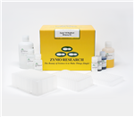 D4101 | Zyppy-96 Plasmid MagBead Miniprep (4 x 96 Preps)