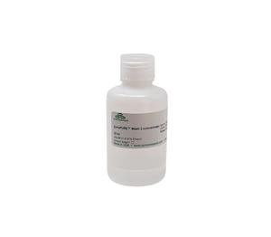 D4200-6-23 | ZymoPURE™ Wash 2 (Concentrate) (23 ml)