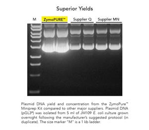D4201 | ZymoPURE™ II Plasmid Midiprep Kit