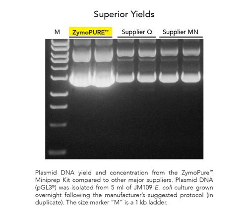 D4203 | Fastest and simplest method available to purify up to 3 mg of endotoxin-free plasmid DNA from 150 ml of E. coli culture.