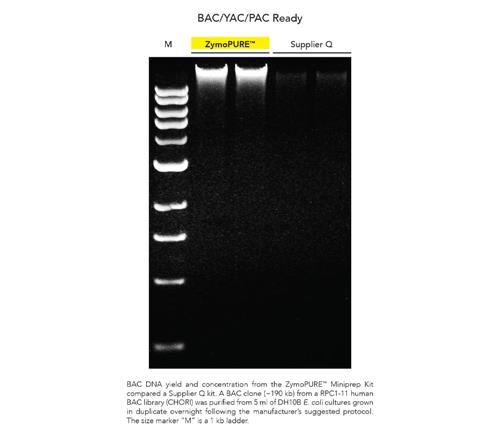 D4210 | Rapid spin-column purificaiton of transfection-grade plasmid DNA from up 5 ml of E. coli culture. 