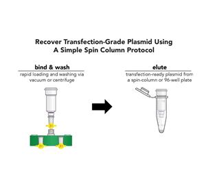 D4212 | Rapid spin-column purificaiton of transfection-grade plasmid DNA from up 5 ml of E. coli culture. 