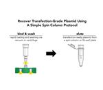 D4212 | Rapid spin-column purificaiton of transfection-grade plasmid DNA from up 5 ml of E. coli culture. 