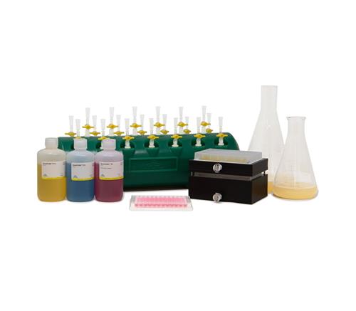 D4215 | High-throughput purification of transfection-grade plasmid DNA from up to 5 ml of overnight E. coli culture.