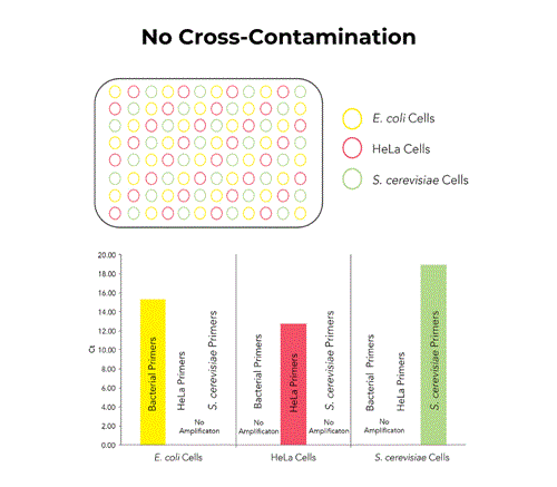 D4306 | ZymoBIOMICS-96 Magbead DNA Kit (lysis Matrix Not Included) (2 x 96 preps)