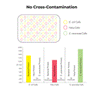 D4306 | ZymoBIOMICS-96 Magbead DNA Kit (lysis Matrix Not Included) (2 x 96 preps)