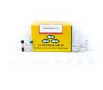 D5002 | EZ DNA Methylation™ Kit (200 Rxns)