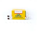 D5006 | EZ DNA Methylation-Gold™ Kit (200 Rxns)
