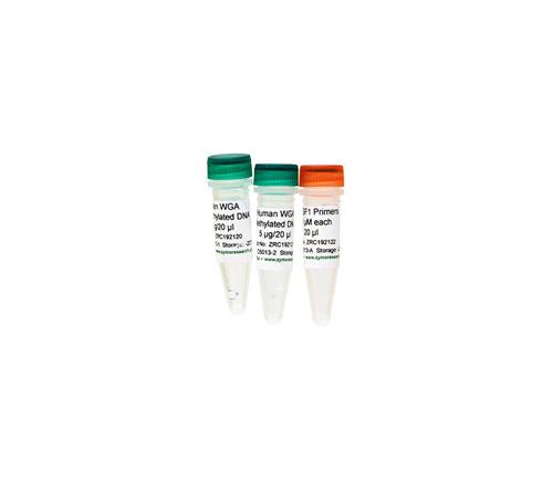 D5013-2 | Human WGA Methylated DNA (5 µg / 20 µl)