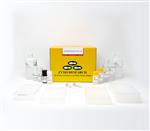 D5023 | EZ-96 DNA Methylation-Direct Kit (Deep-well)