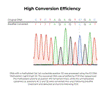 D5032 | EZ-96 DNA Methylation-Lightning Kit (Shallow-Well) (2x96 rxns.)