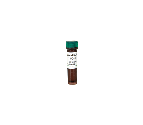 D5325-3-30 | Secondary Antibody 30 ul @ 1 ug/ul