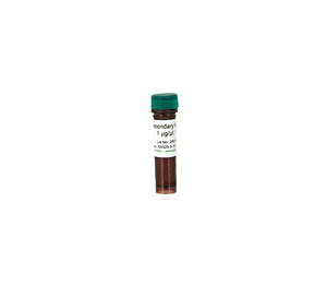 D5325-3-30 | Secondary Antibody 30 ul @ 1 ug/ul
