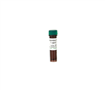 D5325-3-30 | Secondary Antibody 30 ul @ 1 ug/ul