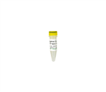D5325-5-1 | Negative Control 50 ul (100 ng/ul) 