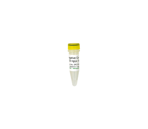 D5325-5-2 | Positive Control 50 ul (100 ng/ul) 