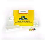 D5326 | 5-mC DNA ELISA Kit (2 x 96)  