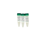 D5405 | 5-Methylcytosine & 5-Hydroxymethylcytosine DNA Standard Set  