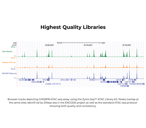 D5458 | The Zymo-Seq ATAC Library Kit features pre assembled buffers offering the quickest and highest quality ATAC-Seq library production.