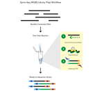 D5465 | Zymo-Seq WGBS Library Kit is the only kit available for whole genome bisulfite (WGBS) library preparation in a single tube. Zymo-Seq WGBS Library Kit incorporates tagmentation technology to eliminate the tedious fragmentation, enzymatic, and clean-ups ste