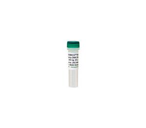 D6306 | ZymoBIOMICS® Microbial Community DNA Standard