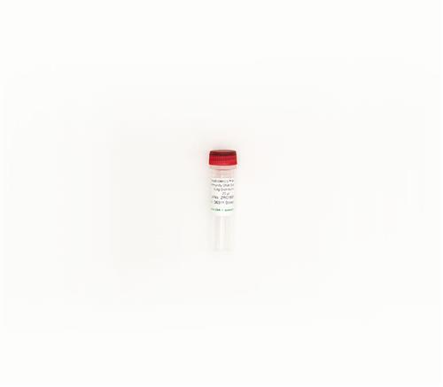 D6311 | ZymoBIOMICS Microbiome Standard (Staggered, DNA, 200 ng), 20 µl