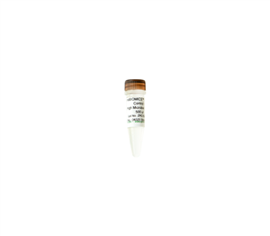 D6320-10 | ZymoBIOMICS® Spike-in Control I (High Microbial Load)  (500 µl x 10)