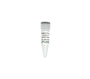 D6321 | ZymoBIOMICS Spike-in Control II (Low Microbial Load) (500 µl x 1)