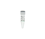 D6321 | ZymoBIOMICS Spike-in Control II (Low Microbial Load) (500 µl x 1)