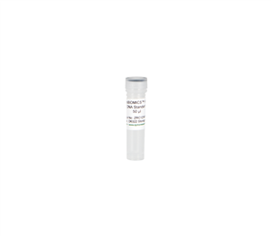 D6322 | The ZymoBIOMICS Microbial Community Standards are accurately characterized mock communities consisting of various bacteria and yeast used for microbiome/metagenome workflow optimization and as positive controls.