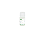 D7001-2-10 | DNA Prep Buffer (10 ml)