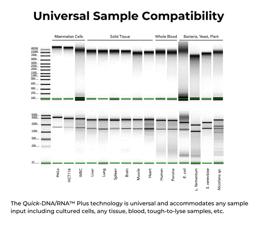 D7003 | Quick-DNA/RNA™ Miniprep Plus Kit