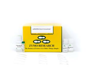 D7010 | Easily purify up to 10 µg of highly concentrated single stranded DNA or RNA from samples containing double stranded DNA. 