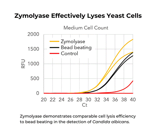 E1005 | Yeast lytic enzyme for simple and effective digestion of fungal cell walls.