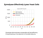 E1006 | Yeast lytic enzyme for simple and effective digestion of fungal cell walls.