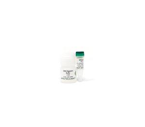 E1011 | 	DNase I Set (1500 U)