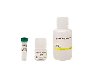 E1020-200 | Highly selective for dsDNA, RNase-free and protease-free.