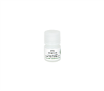 I1001-25 | 0.5 M Premade sterile solution for induction of gene expression under control of the lac operon.