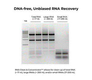R1015 | RNA Clean & Concentrator™-5