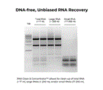 R1015 | RNA Clean & Concentrator™-5
