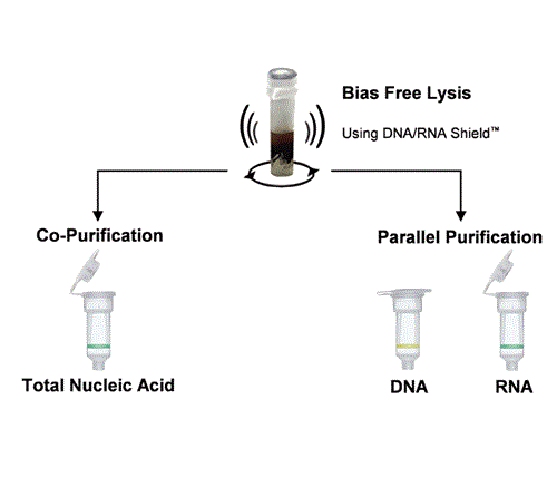 R2002 | ZymoBIOMICS® DNA/RNA Miniprep Kit