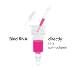 R2050 | Direct-zol™ RNA Miniprep Kit