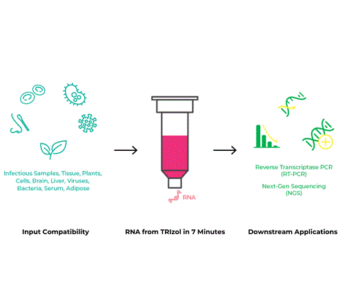 R2052 | Direct-zol™ RNA MiniPrep (200 Preps) w/ Zymo-Spin™ IIC Columns (Capped)