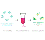 R2052 | Direct-zol™ RNA MiniPrep (200 Preps) w/ Zymo-Spin™ IIC Columns (Capped)