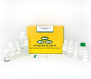 R2135 | ZymoBIOMICS MagBead DNA/RNA kit provides a high-throughput, magnetic bead-based purification of both high-quality DNA and total RNA (including small/microRNAs) from the same starting sample.