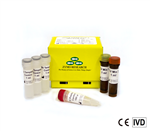 R3011 | Simple and sensitive detection of SARS-CoV-2 from biological samples.