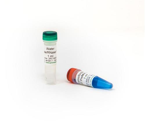 R3012 | ZymoScript RT PreMix is an optimized reverse transcription kit containing all the necessary components for quick and efficient cDNA synthesis. Try it today.