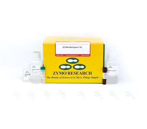 R5002 | EZ RNA Methylation Kit (200 prep)
