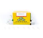 R5002 | EZ RNA Methylation Kit (200 prep)