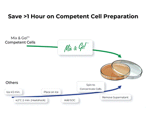 T3001 | Prepare highly competent E. coli cells that can be transformed in about 20 seconds.